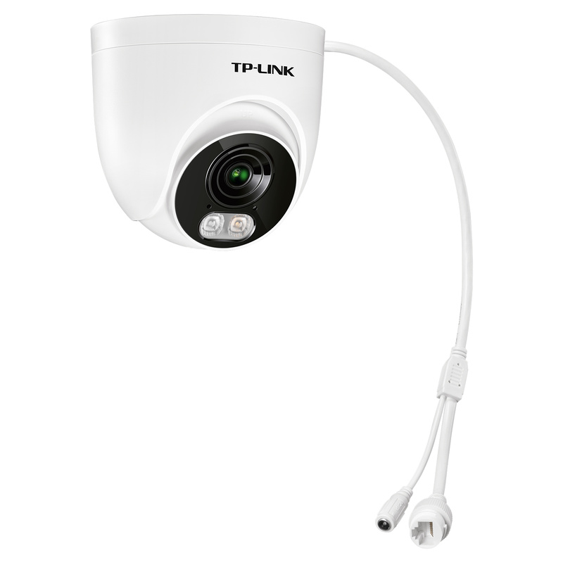 4,000,000 pixel PoE Dome Alert Network Camera