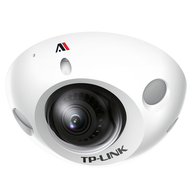 3 million AI intelligent anti-riot network cameras